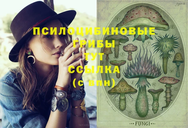 мескалин Балахна