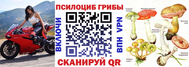 сайты даркнета формула Лесосибирск Галлюциногенные грибы Cubensis